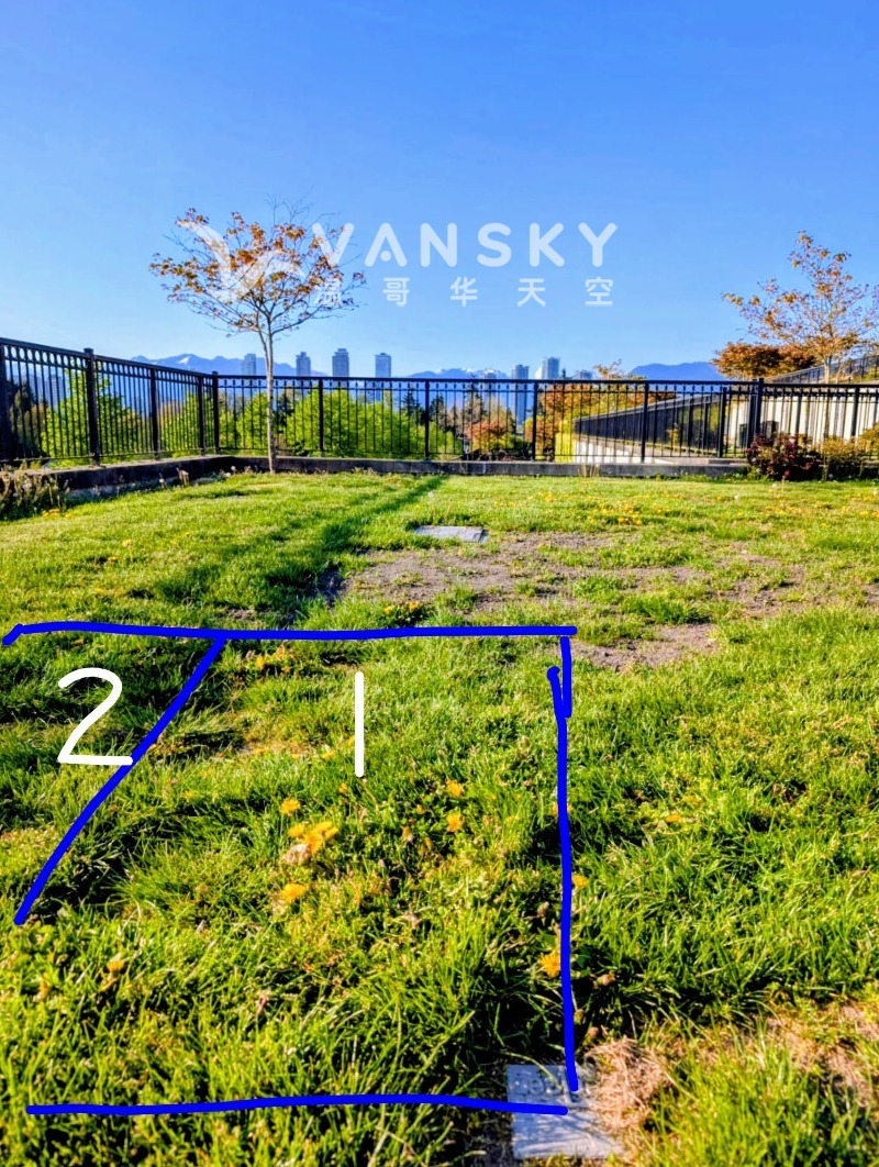 260217190027_burial plot north - marked.jpg